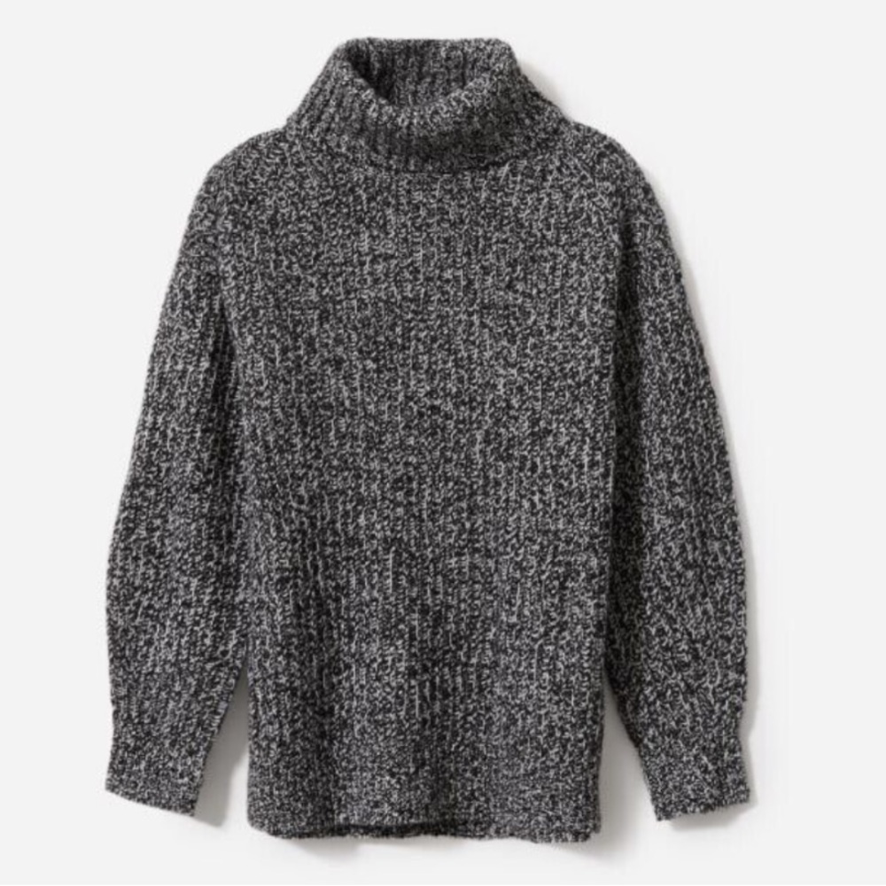 Everlane Italian Soft Wool Rib Turtleneck Sweater